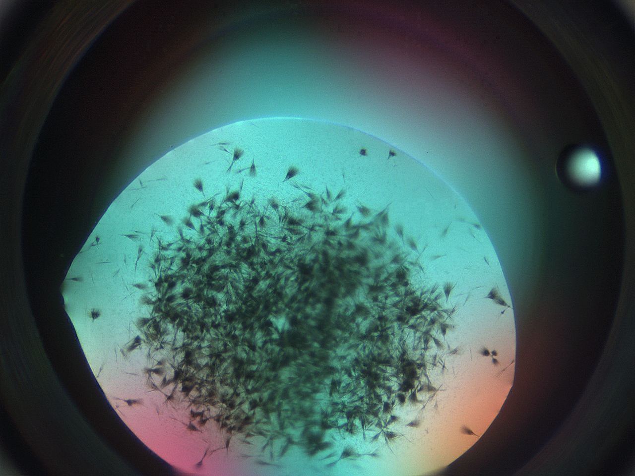 0699_B3_ImagerDefaults_7.jpg