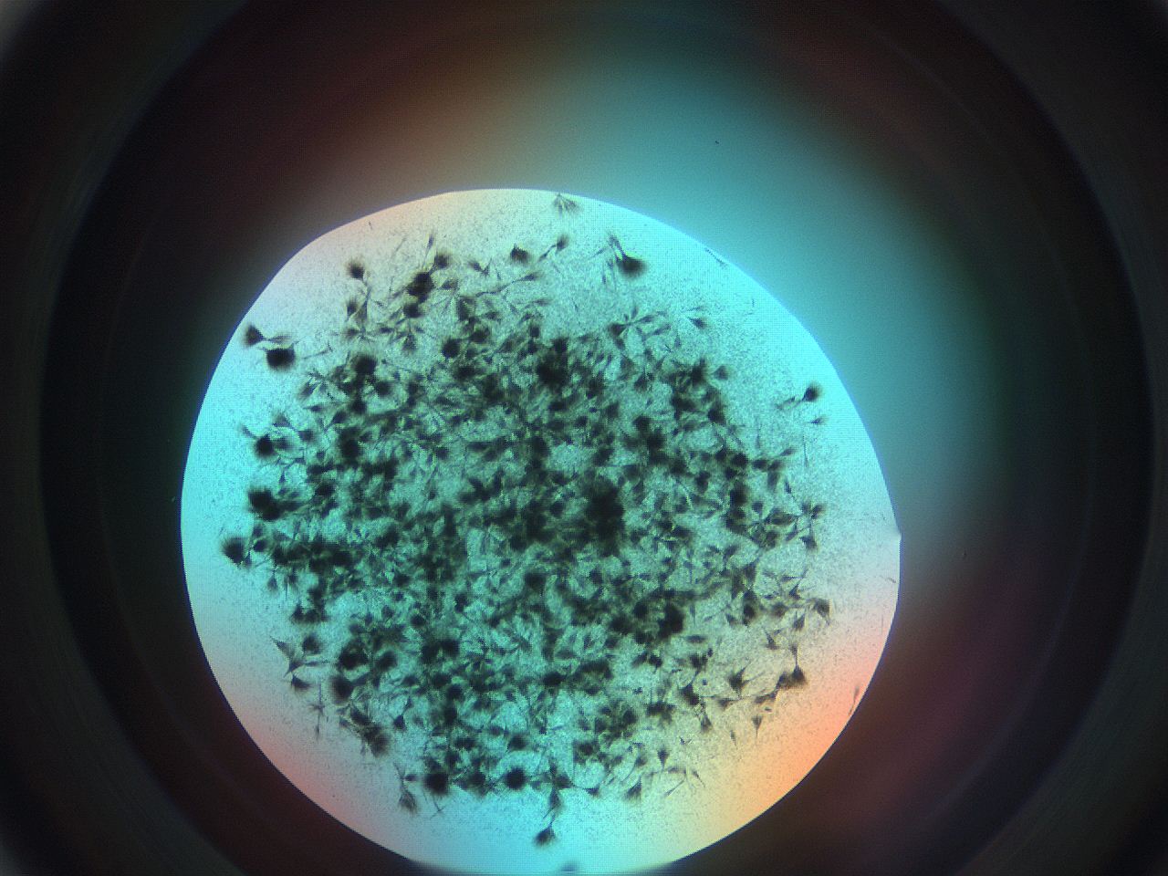0699_B4_ImagerDefaults_7.jpg