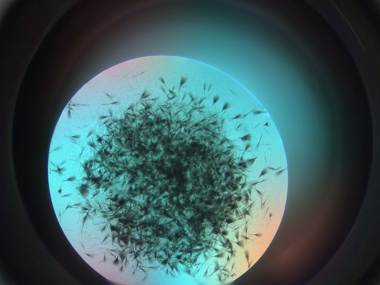 0699_B5_ImagerDefaults_7.jpg