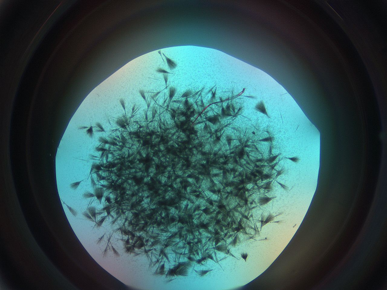 0699_B6_ImagerDefaults_7.jpg