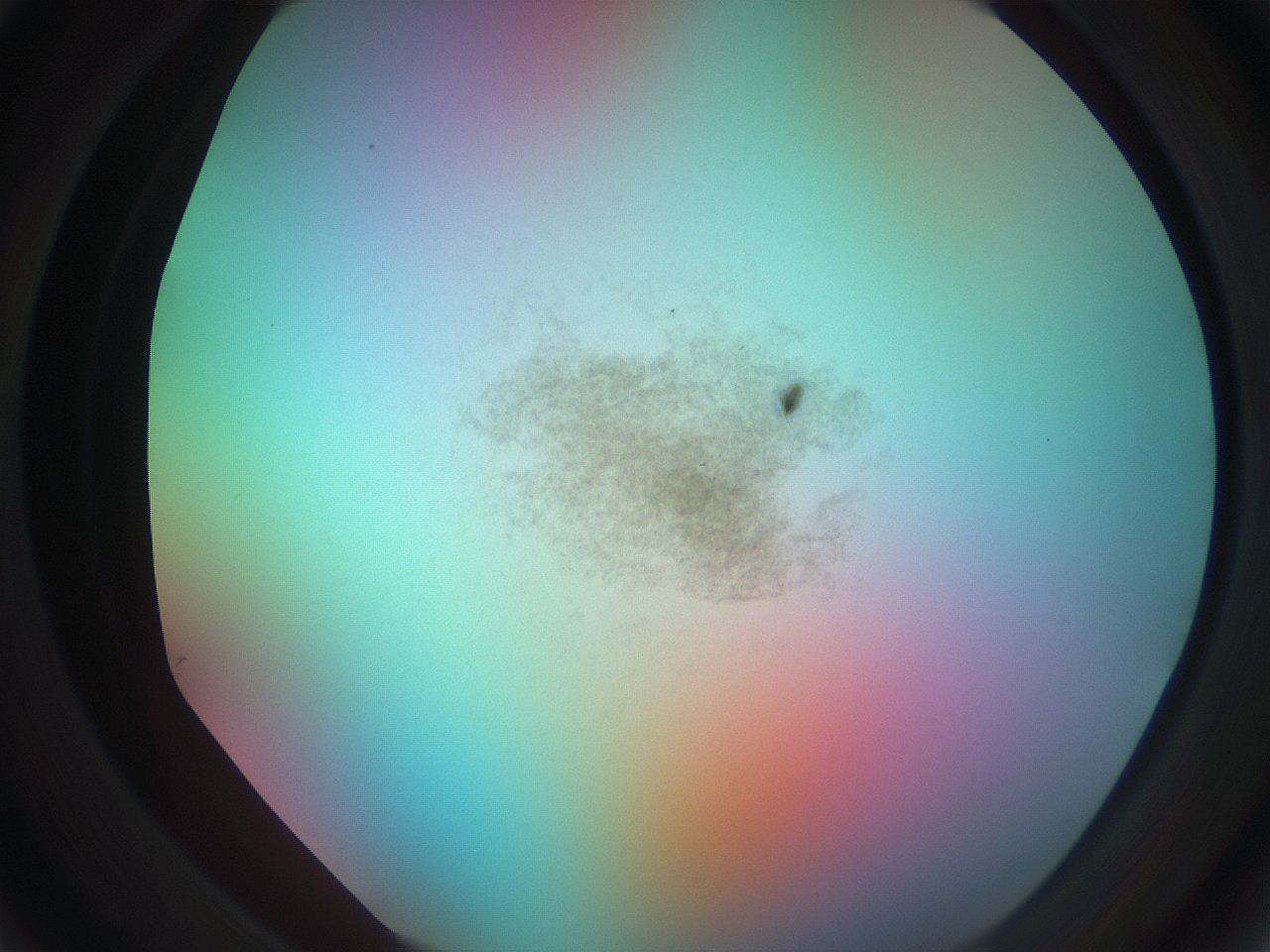 0699_C1_ImagerDefaults_0.jpg