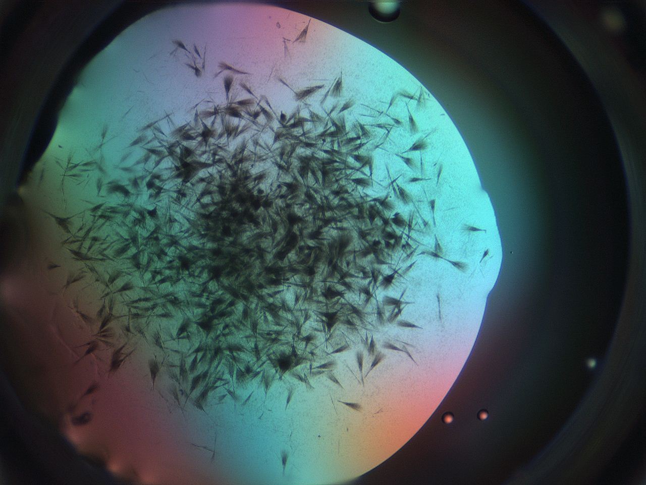 0699_C2_ImagerDefaults_7.jpg