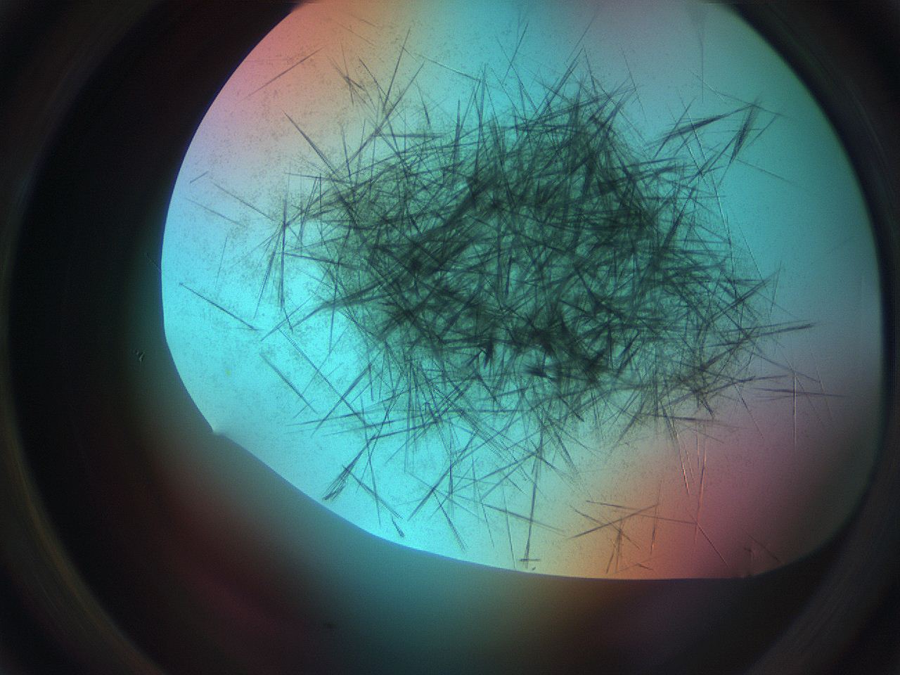 0699_C4_ImagerDefaults_7.jpg