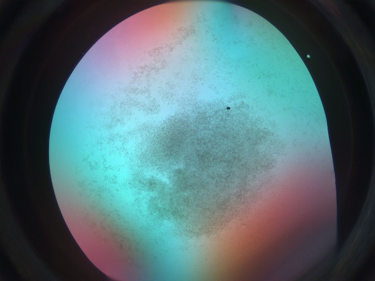 0699_C6_ImagerDefaults_3.jpg