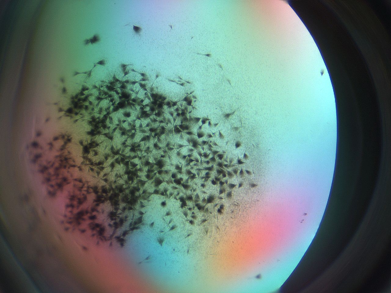0699_D1_ImagerDefaults_7.jpg
