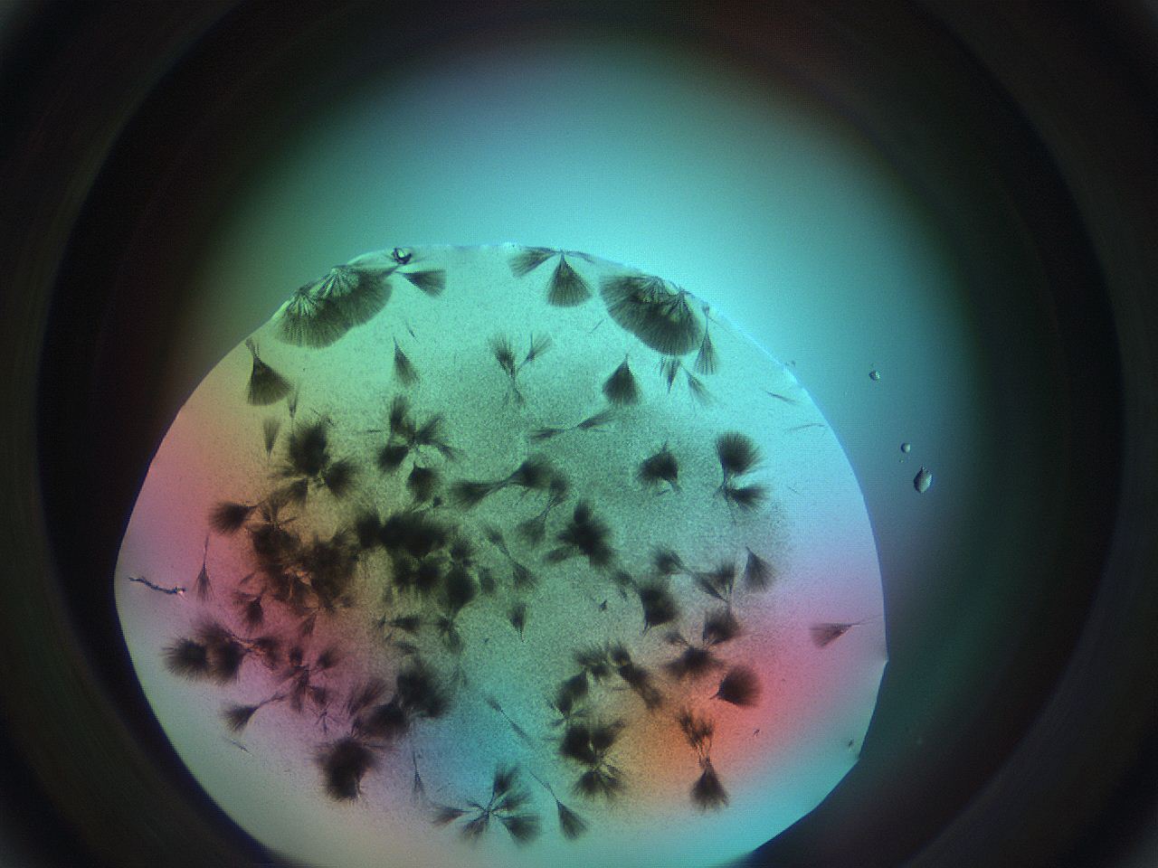 0699_D2_ImagerDefaults_7.jpg