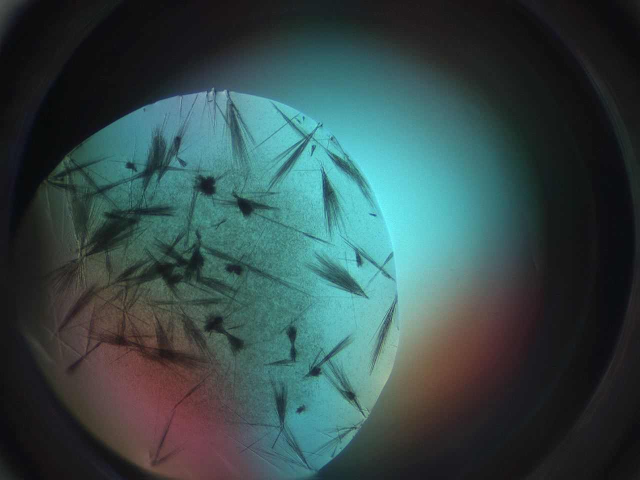 0699_D4_ImagerDefaults_7.jpg