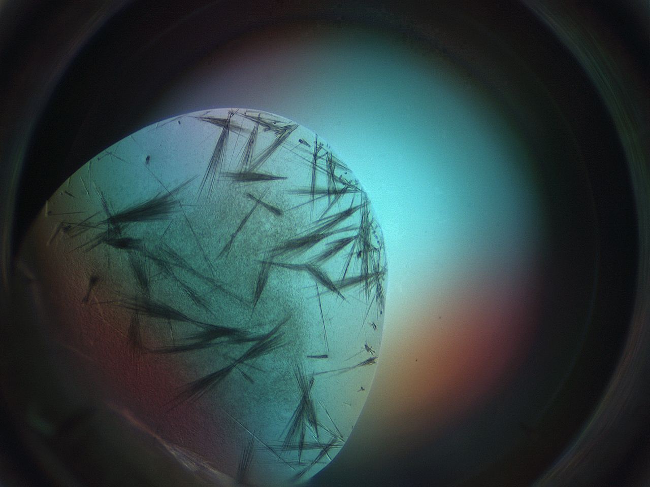 0699_D5_ImagerDefaults_7.jpg