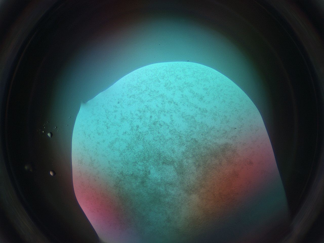 0699_D6_ImagerDefaults_3.jpg