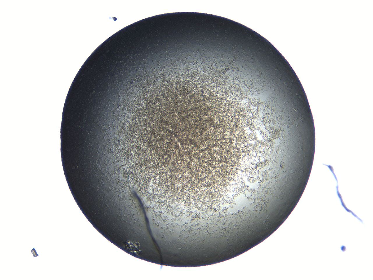069a_A8_ImagerDefaults_3.jpg