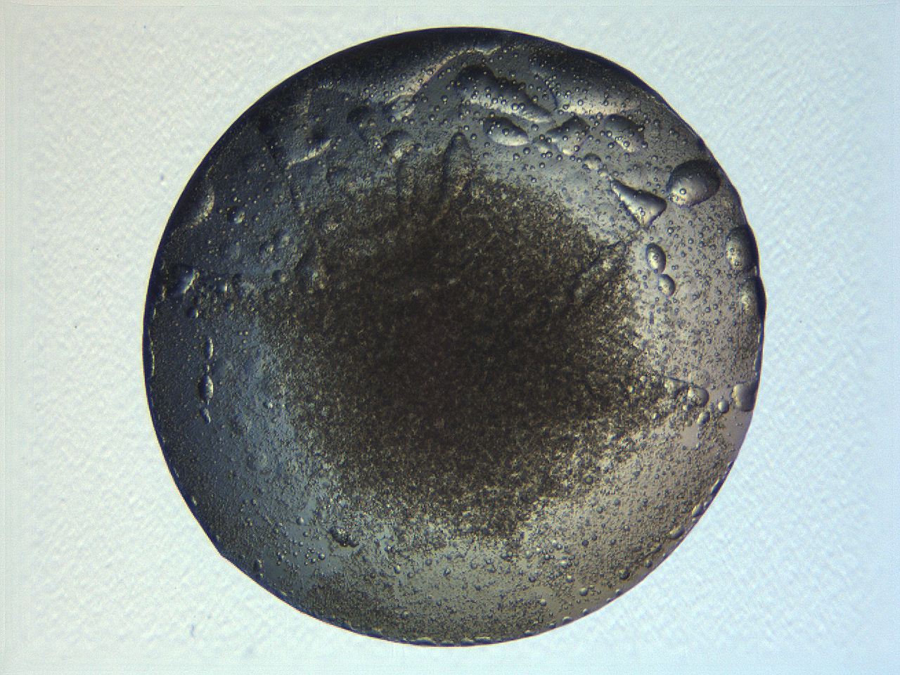 069a_A10_ImagerDefaults_3.jpg