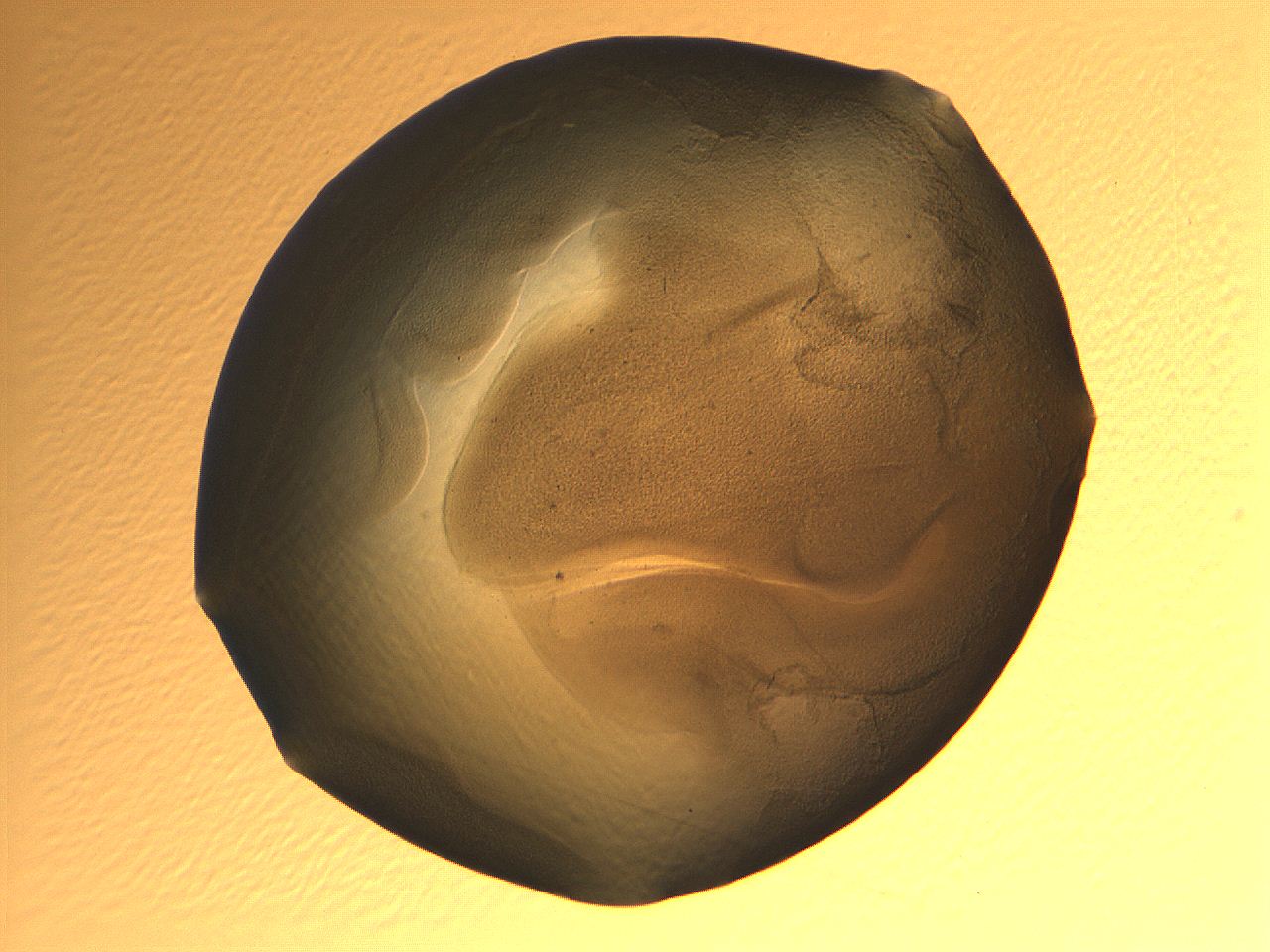 069a_A11_ImagerDefaults_3.jpg