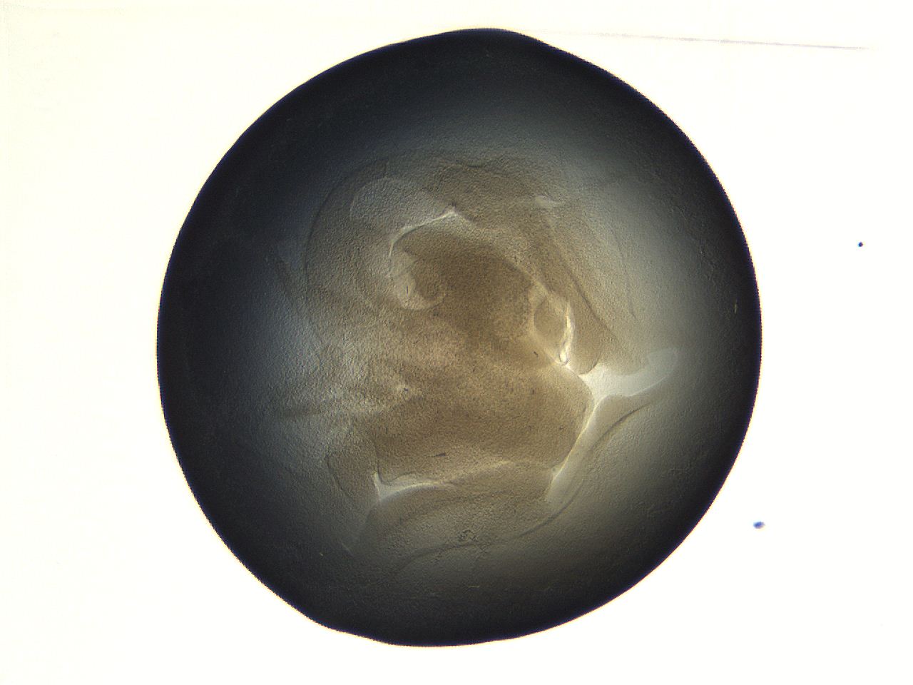 069a_A5_ImagerDefaults_3.jpg