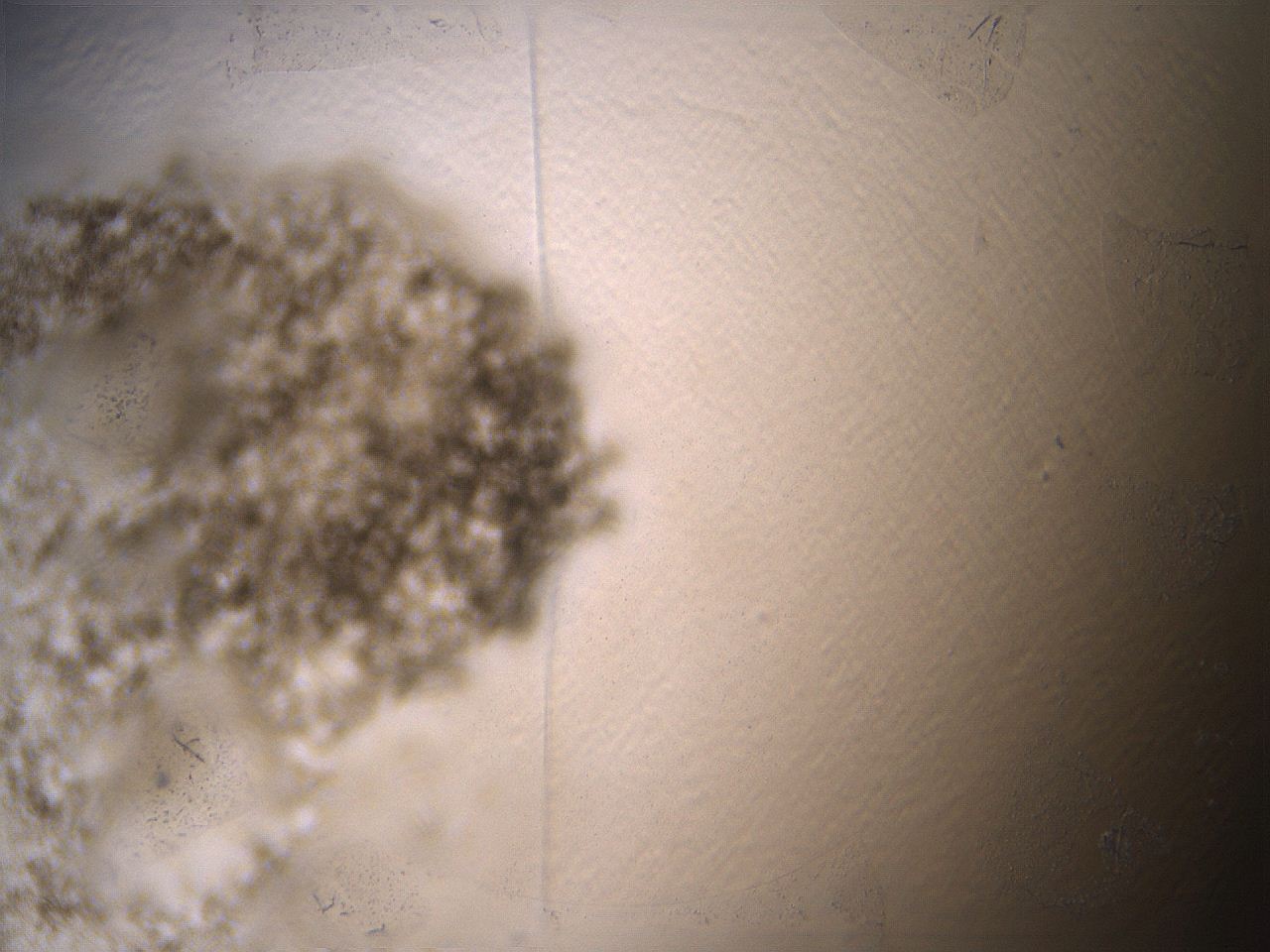 069a_A3_ImagerDefaults_3.jpg