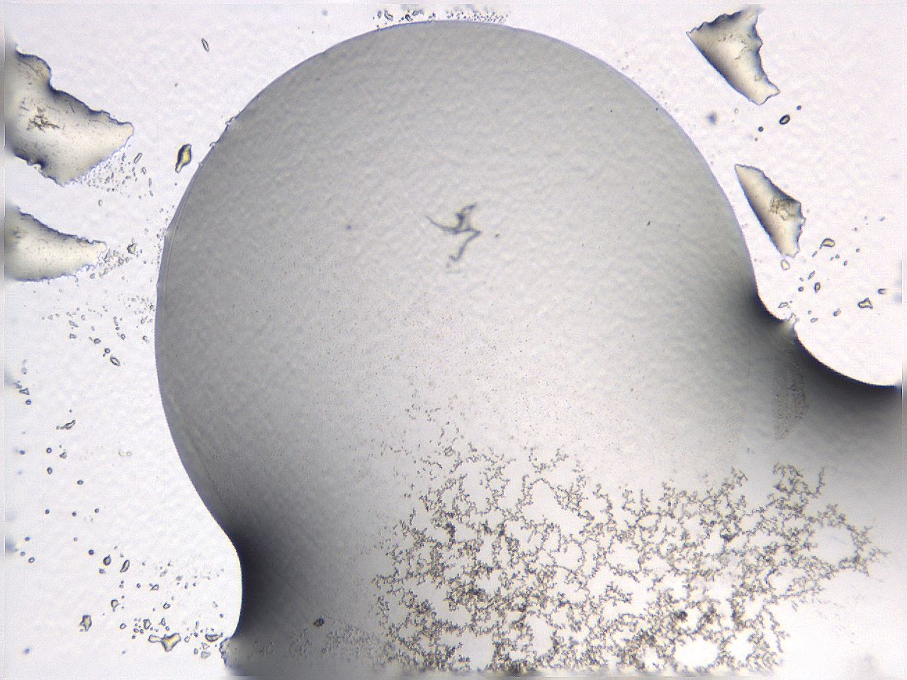 069a_A2_ImagerDefaults_3.jpg