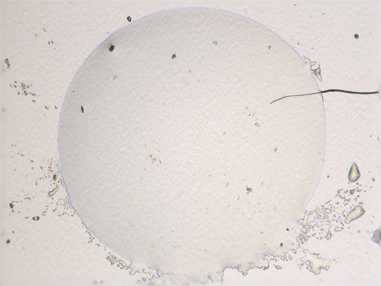 069a_A1_ImagerDefaults_3.jpg