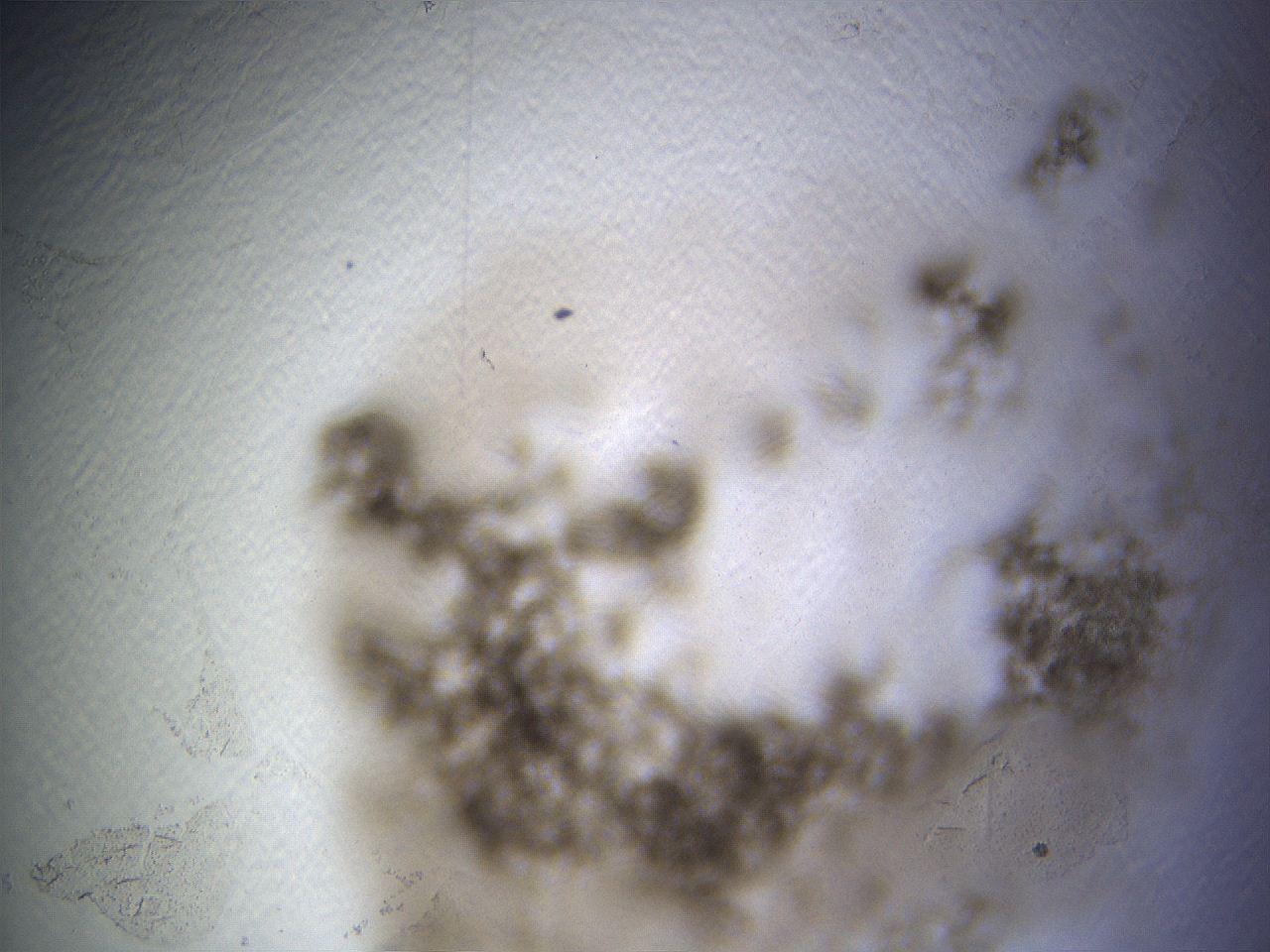 069a_B3_ImagerDefaults_3.jpg