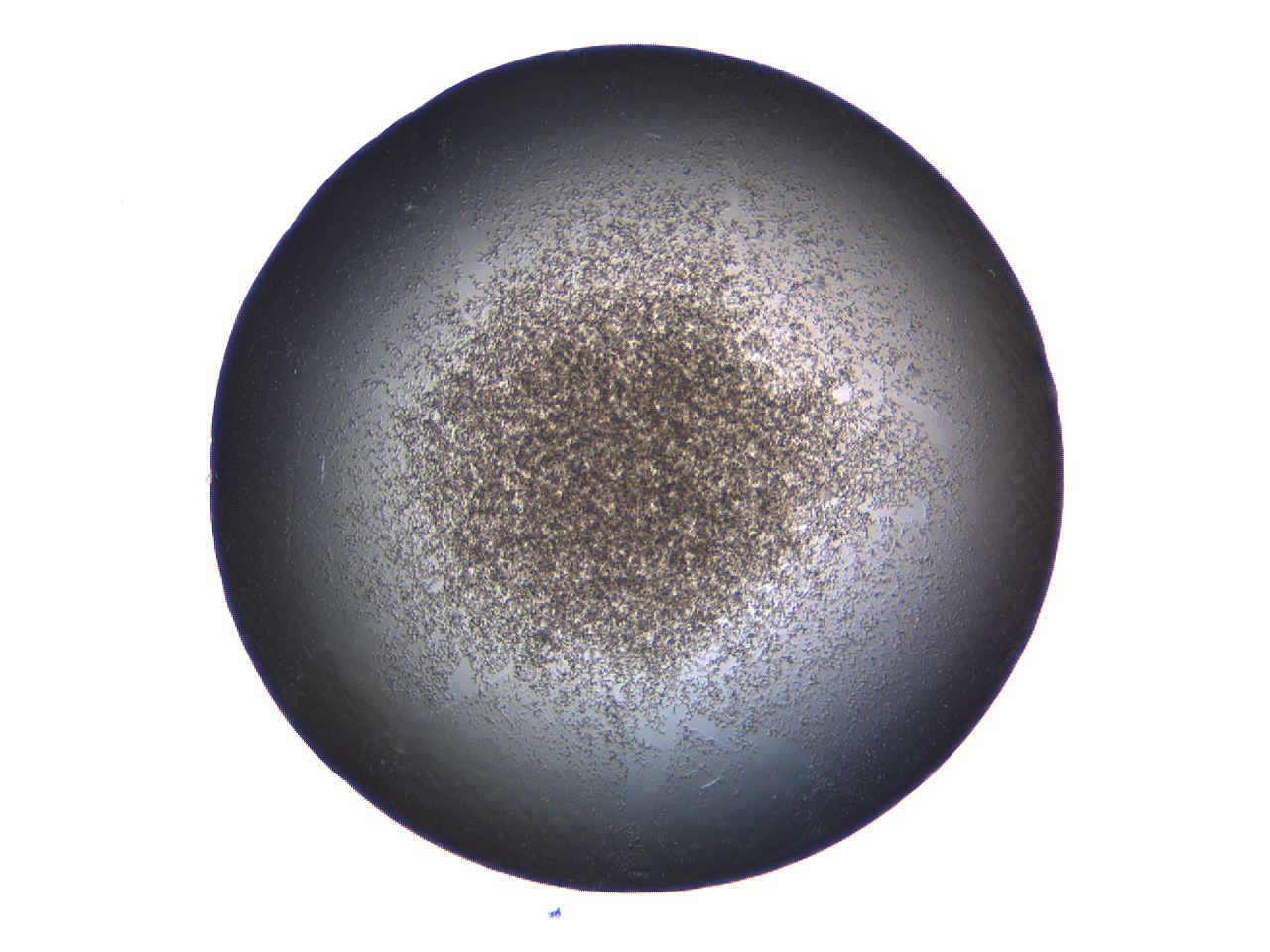 069a_B5_ImagerDefaults_3.jpg