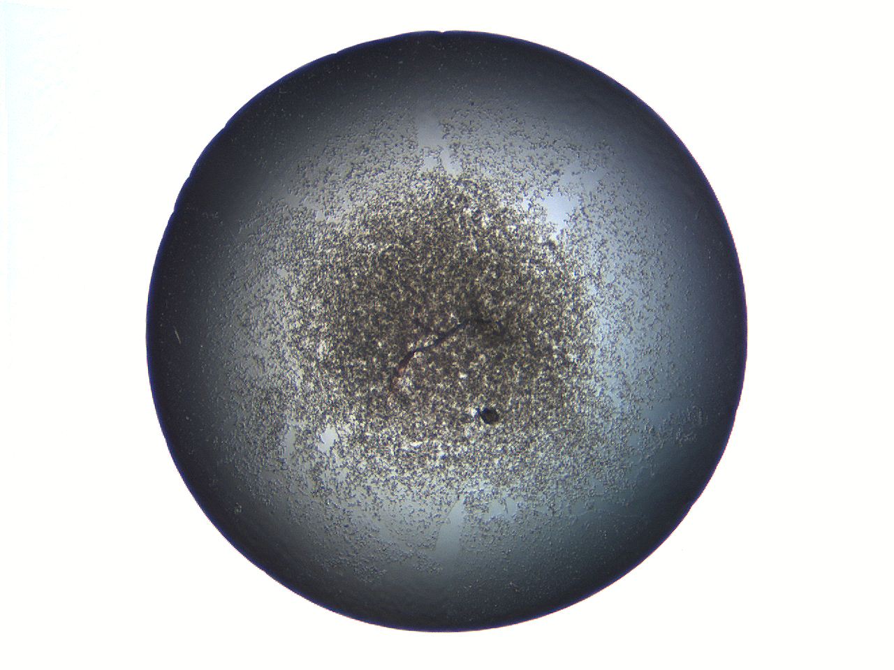 069a_B6_ImagerDefaults_3.jpg