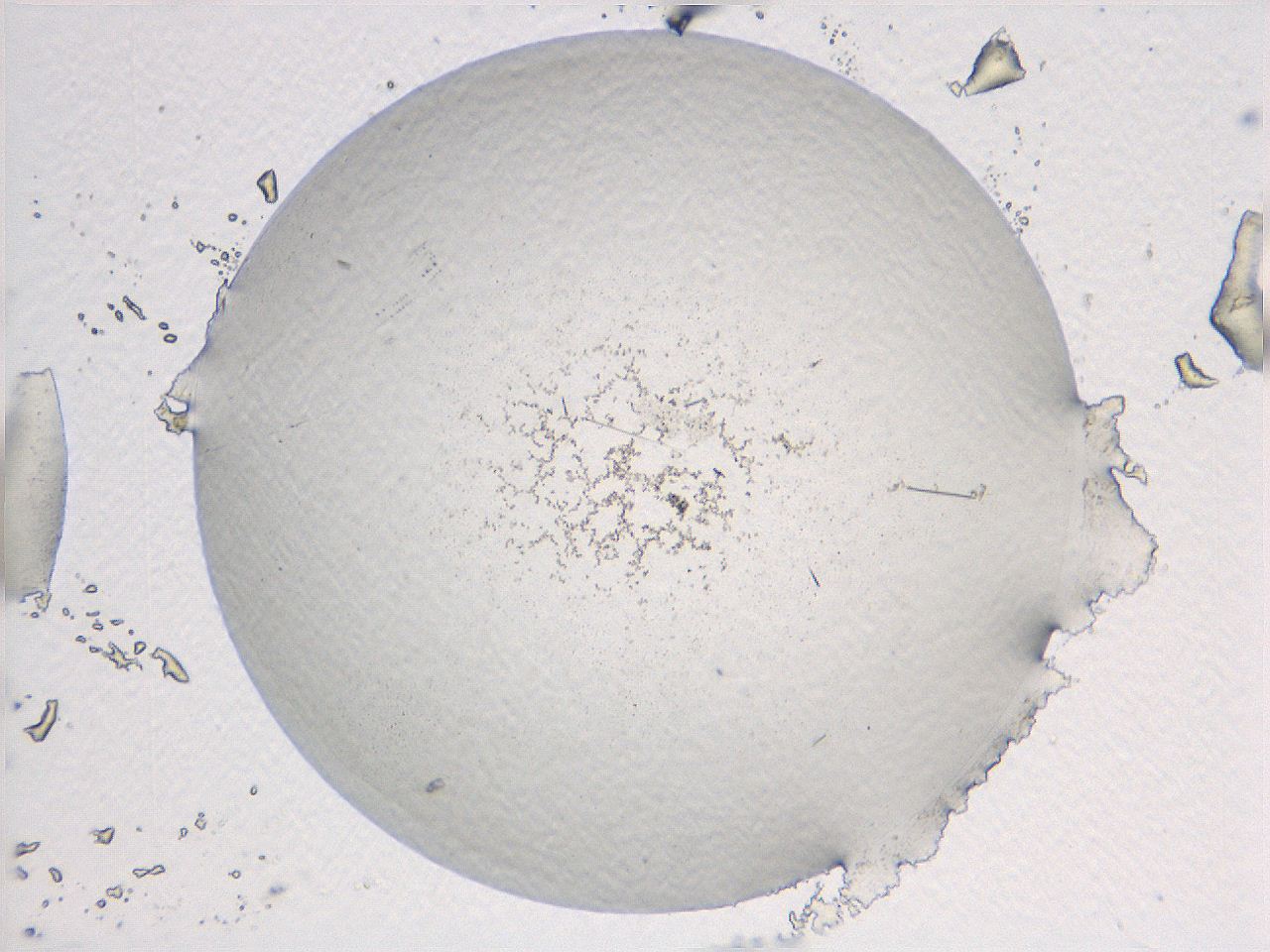 069a_C2_ImagerDefaults_7.jpg