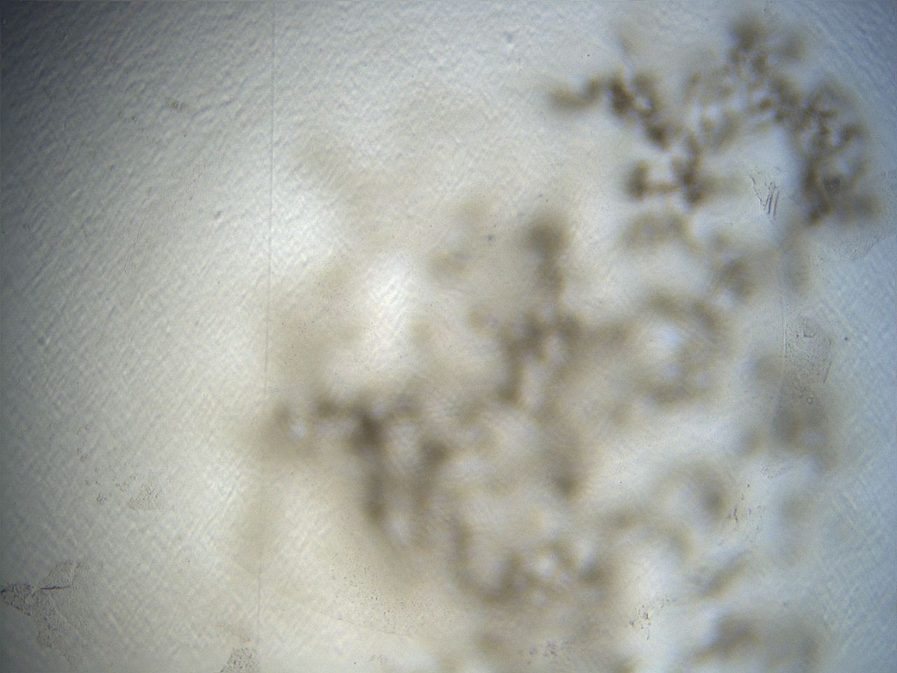 069a_C3_ImagerDefaults_7.jpg