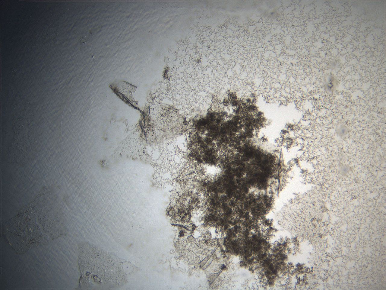 069a_C4_ImagerDefaults_3.jpg