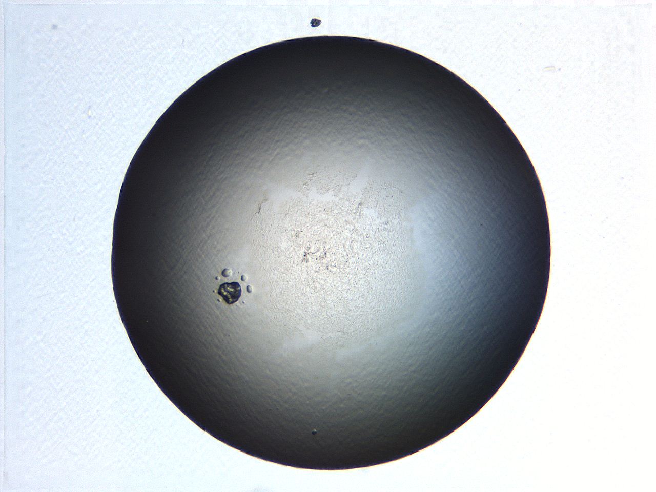 069a_C6_ImagerDefaults_0.jpg