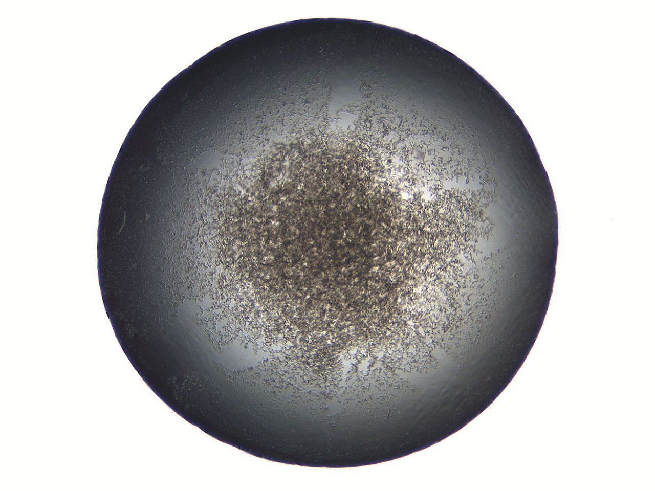 069a_C7_ImagerDefaults_3.jpg
