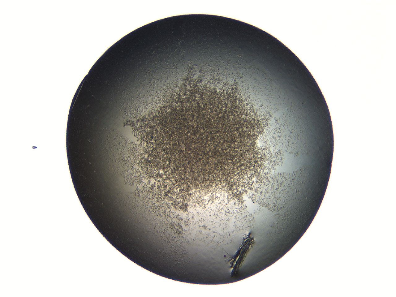 069a_C11_ImagerDefaults_3.jpg