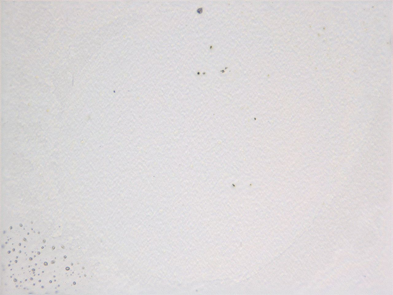 069a_D2_ImagerDefaults_0.jpg