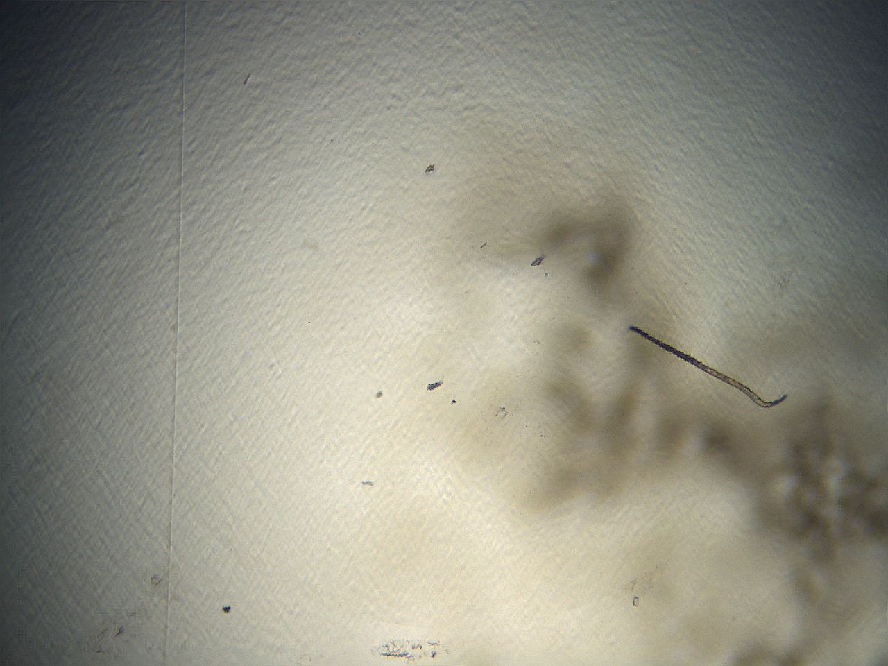 069a_D3_ImagerDefaults_3.jpg