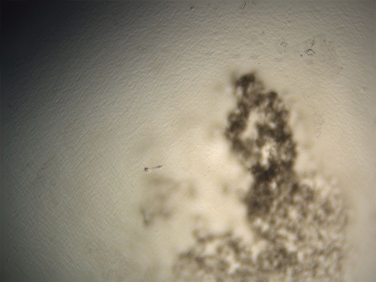 069a_D4_ImagerDefaults_3.jpg