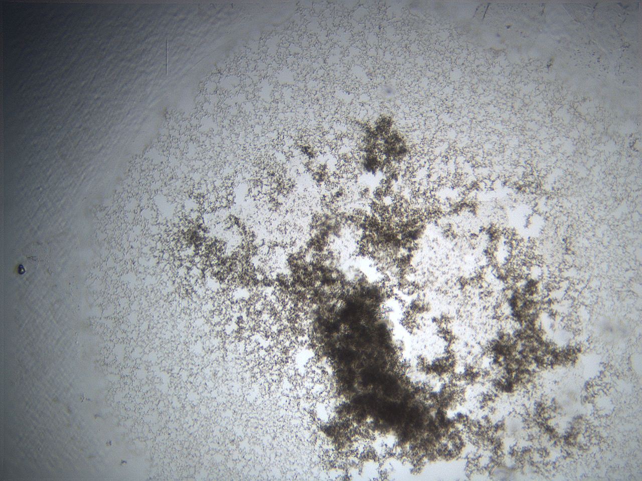 069a_D5_ImagerDefaults_3.jpg