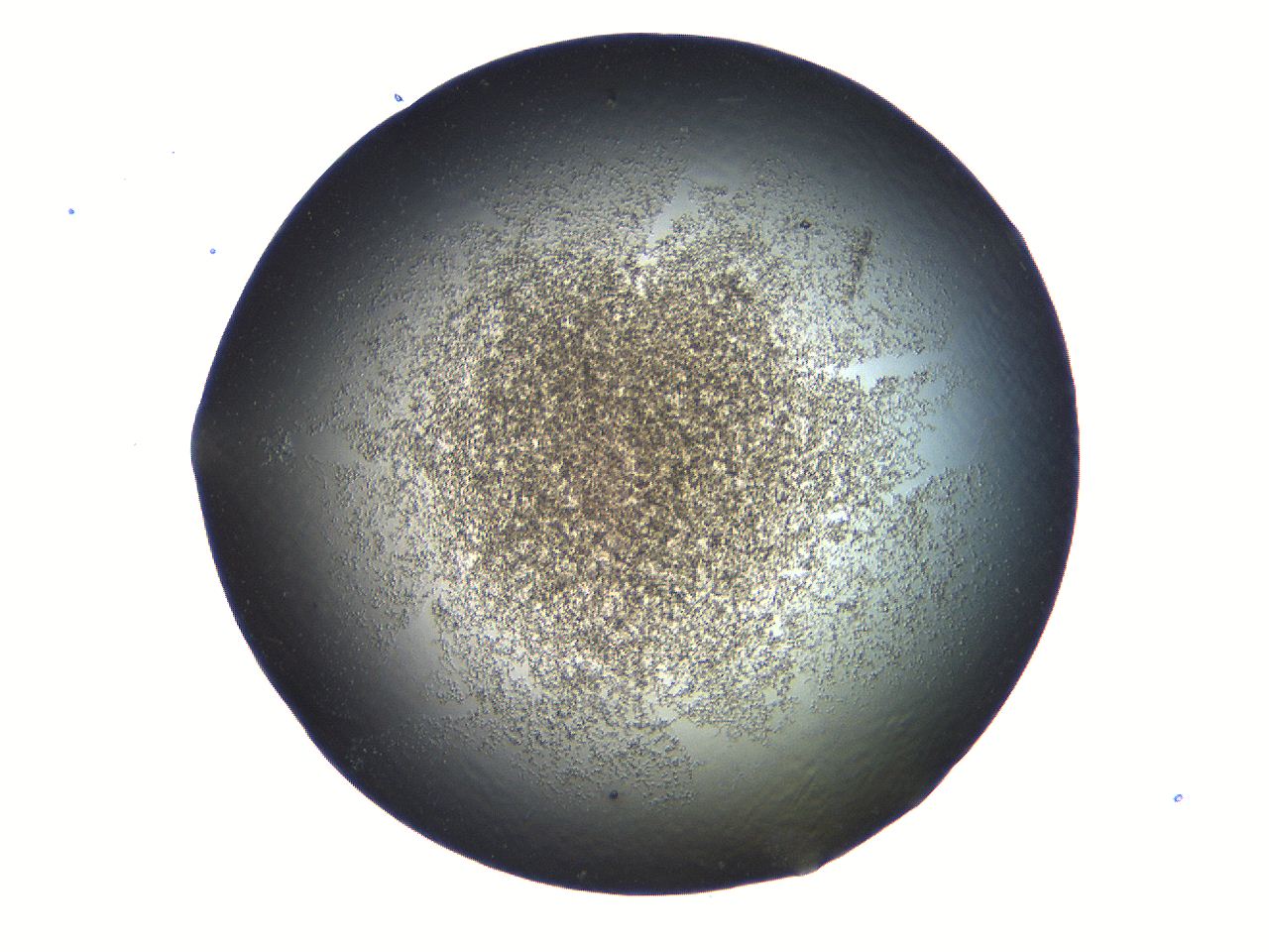 069a_D6_ImagerDefaults_3.jpg