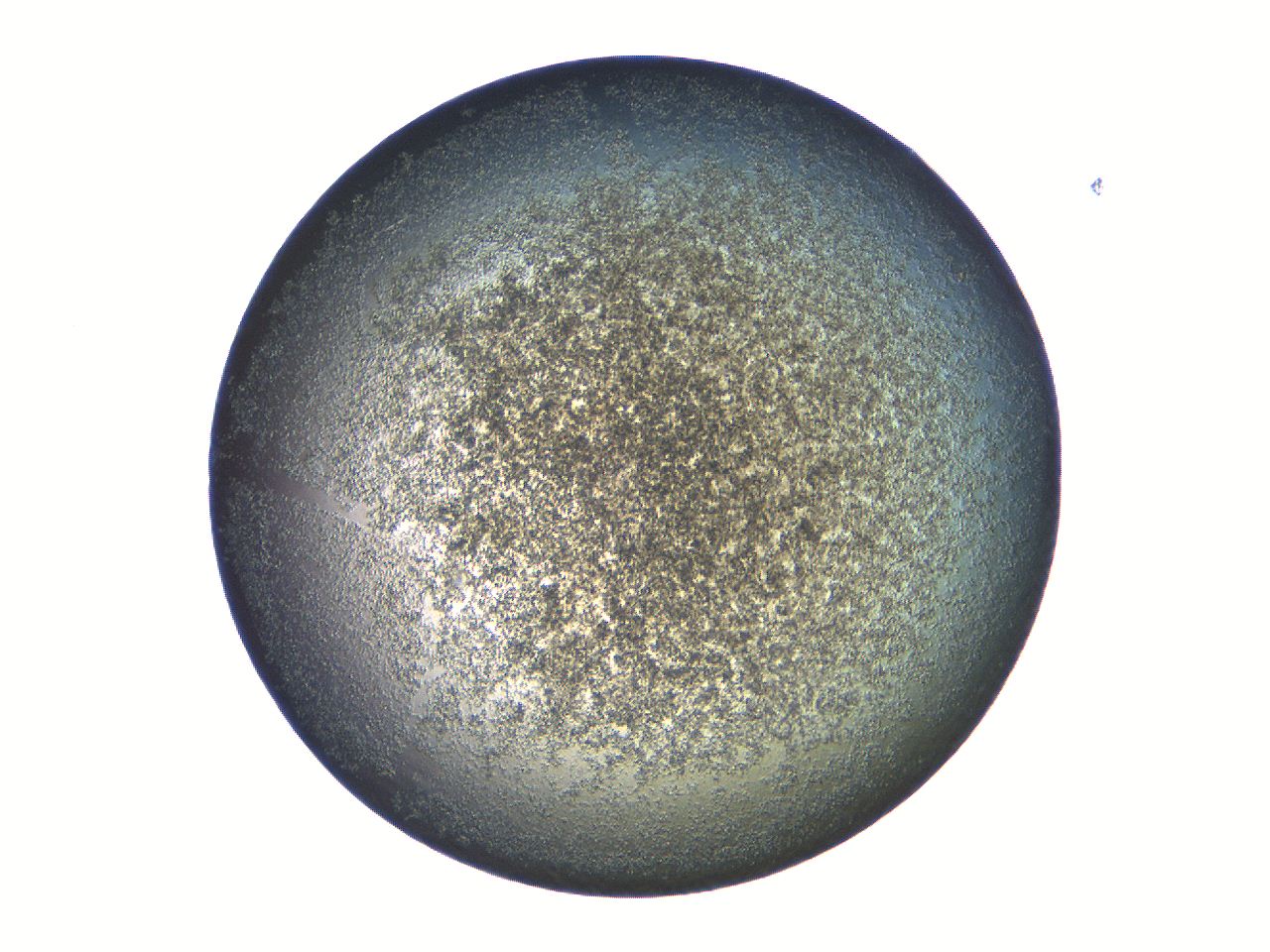 069a_D9_ImagerDefaults_7.jpg