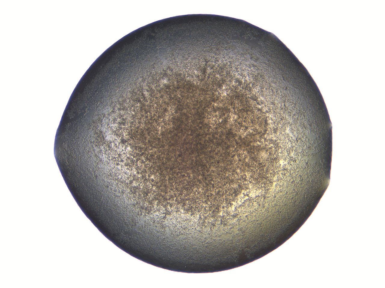 069a_D10_ImagerDefaults_3.jpg