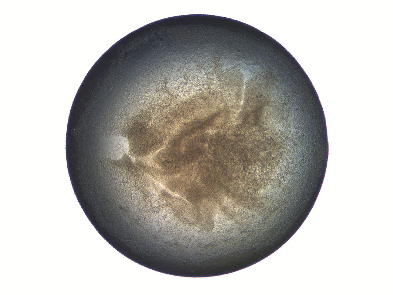 069a_D11_ImagerDefaults_3.jpg