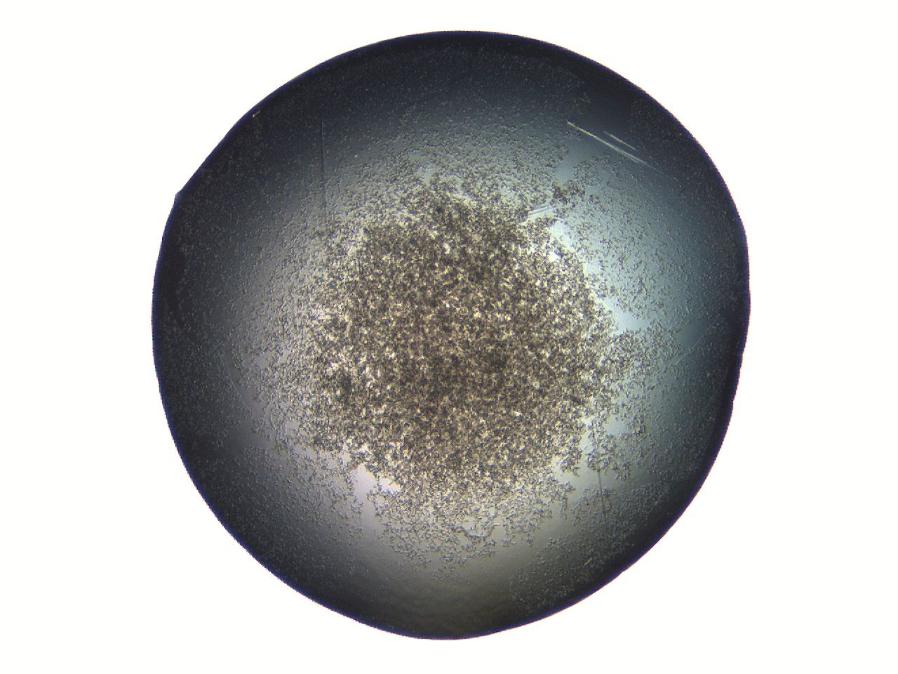 069a_D12_ImagerDefaults_7.jpg