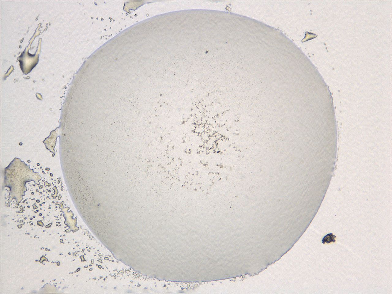 069a_E2_ImagerDefaults_3.jpg