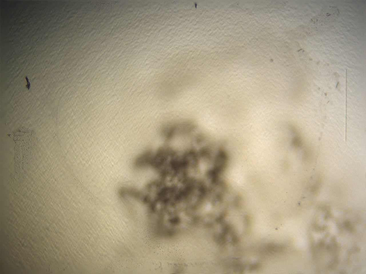 069a_E4_ImagerDefaults_3.jpg