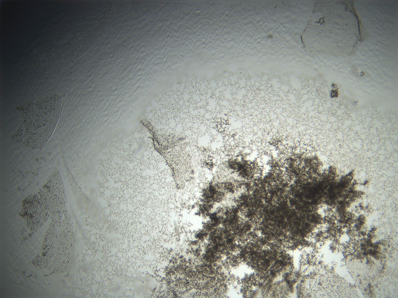 069a_E5_ImagerDefaults_7.jpg