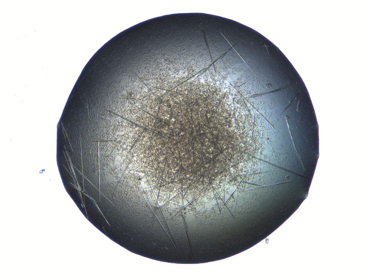 069a_E6_ImagerDefaults_9.jpg