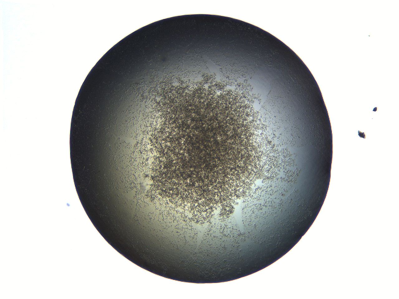 069a_B12_ImagerDefaults_3.jpg