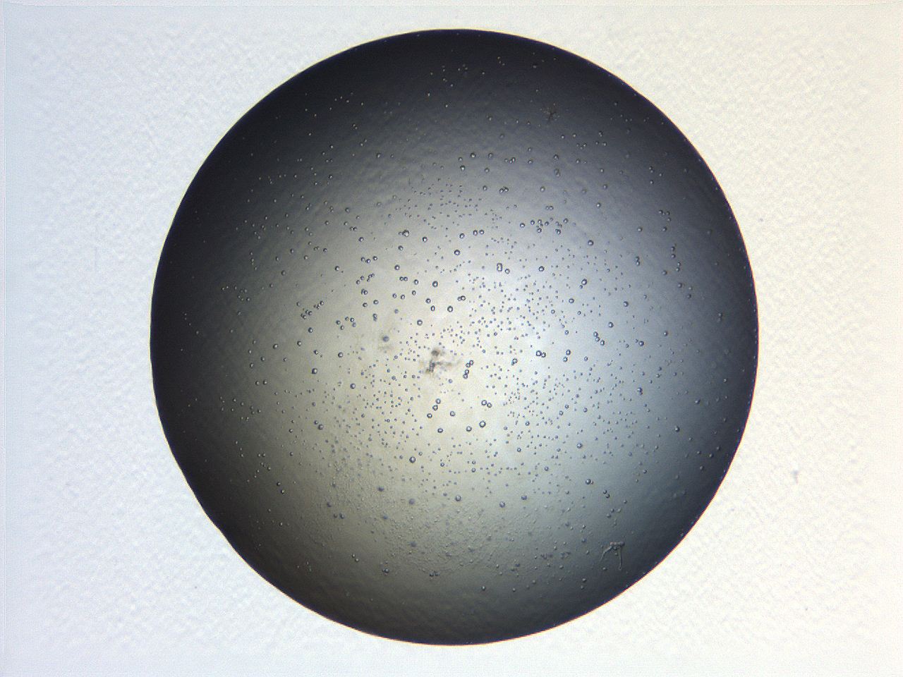 069a_B11_ImagerDefaults_0.jpg