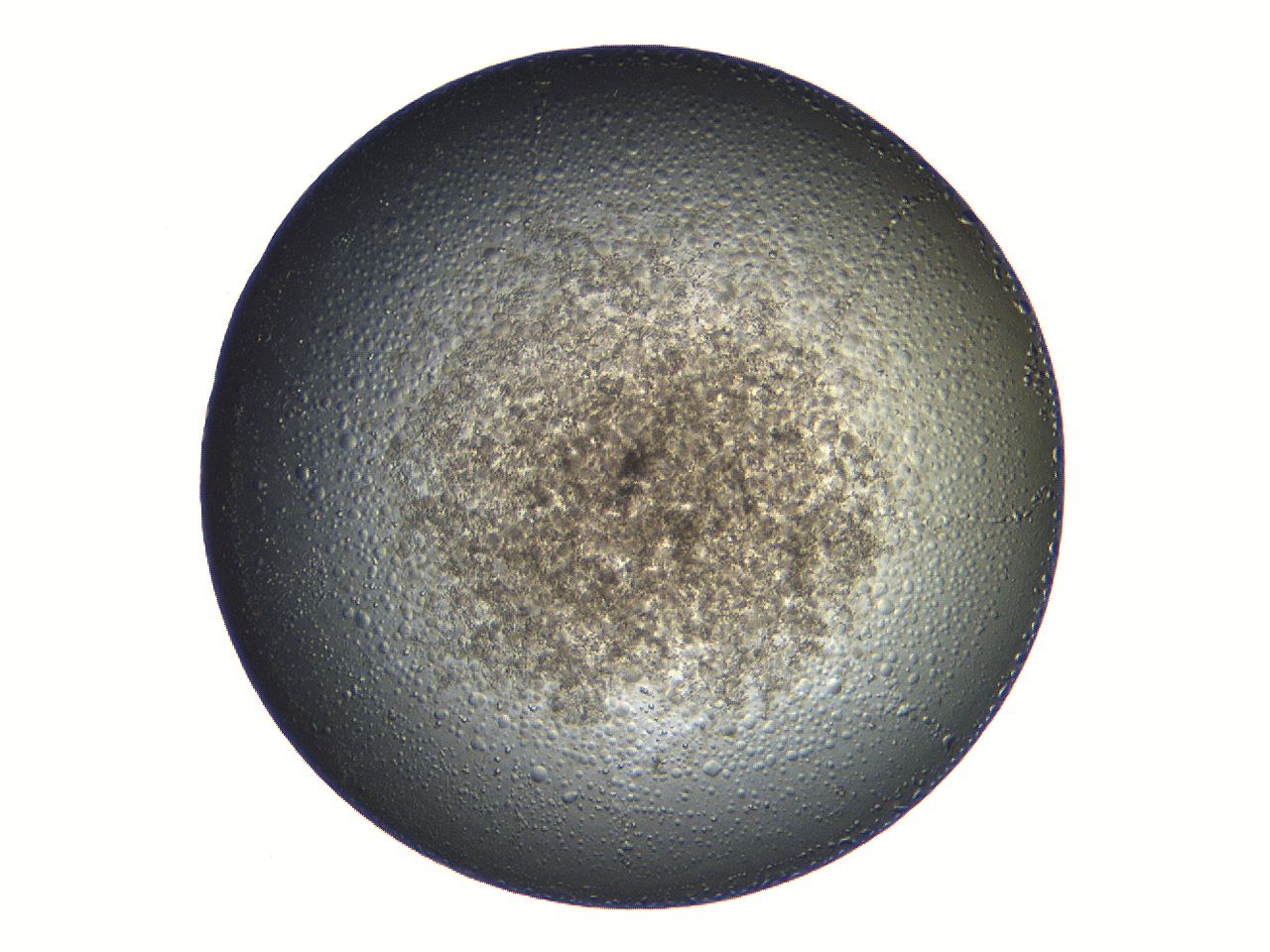 069a_B10_ImagerDefaults_3.jpg