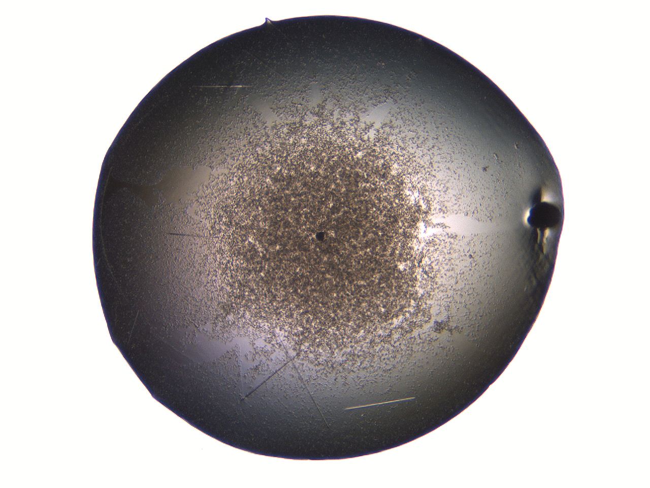 069a_E11_ImagerDefaults_7.jpg