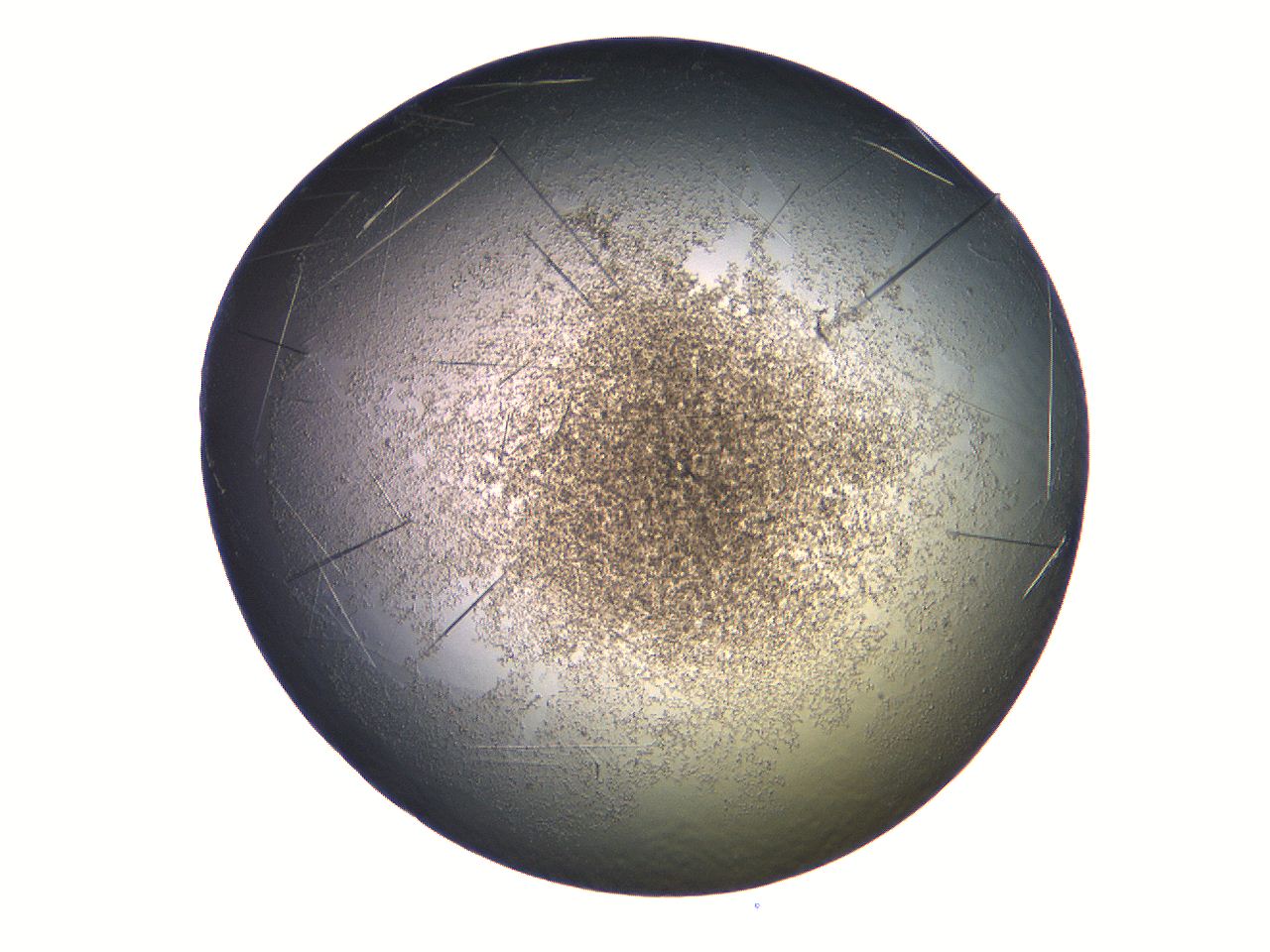 069a_E12_ImagerDefaults_7.jpg