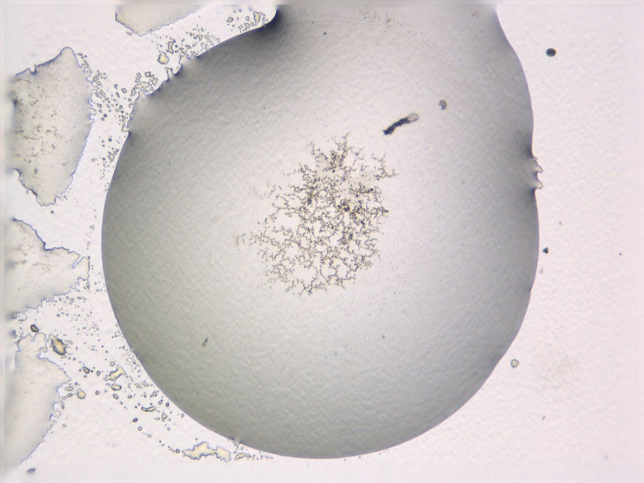 069a_F1_ImagerDefaults_3.jpg
