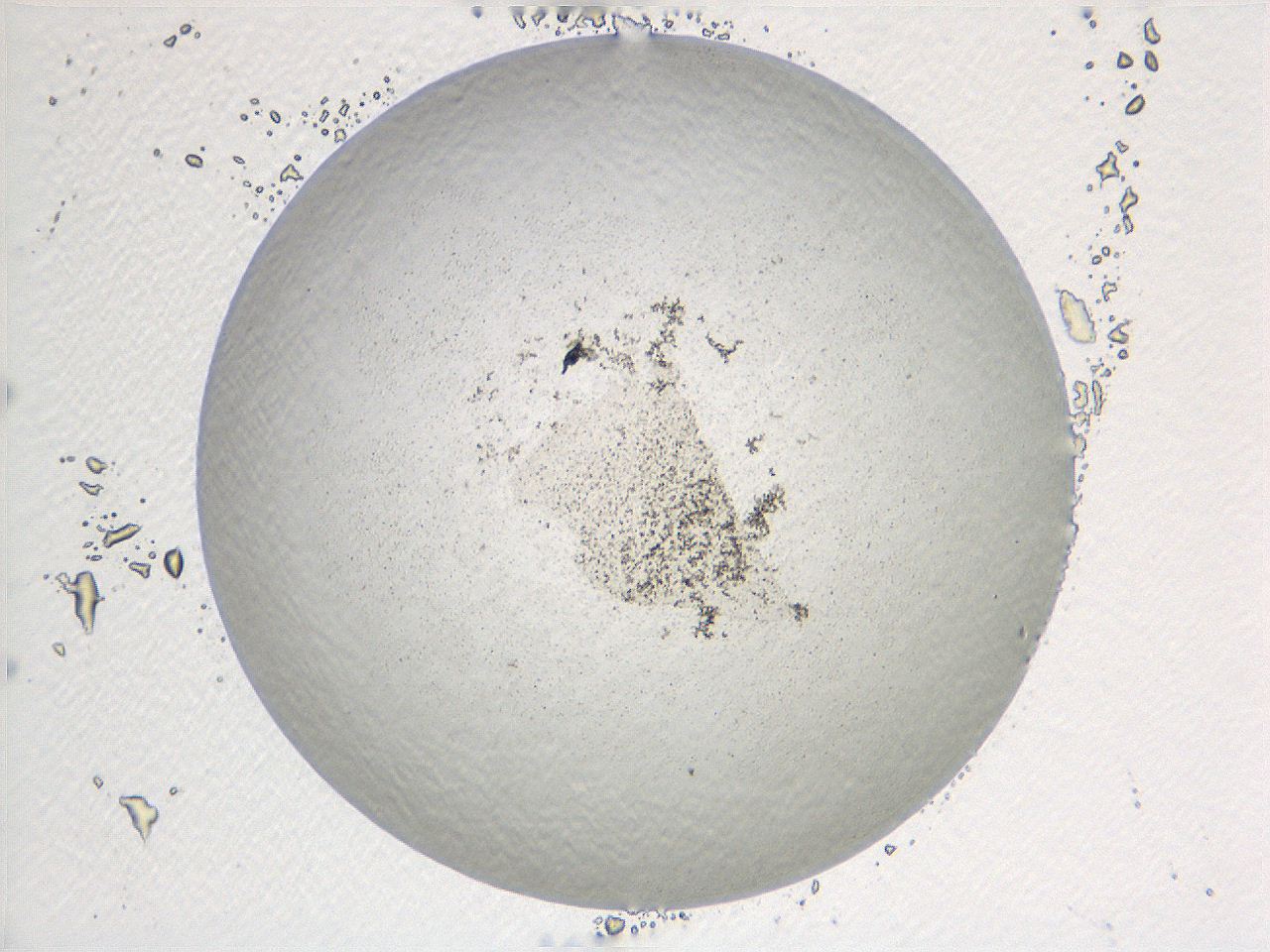 069a_F3_ImagerDefaults_3.jpg