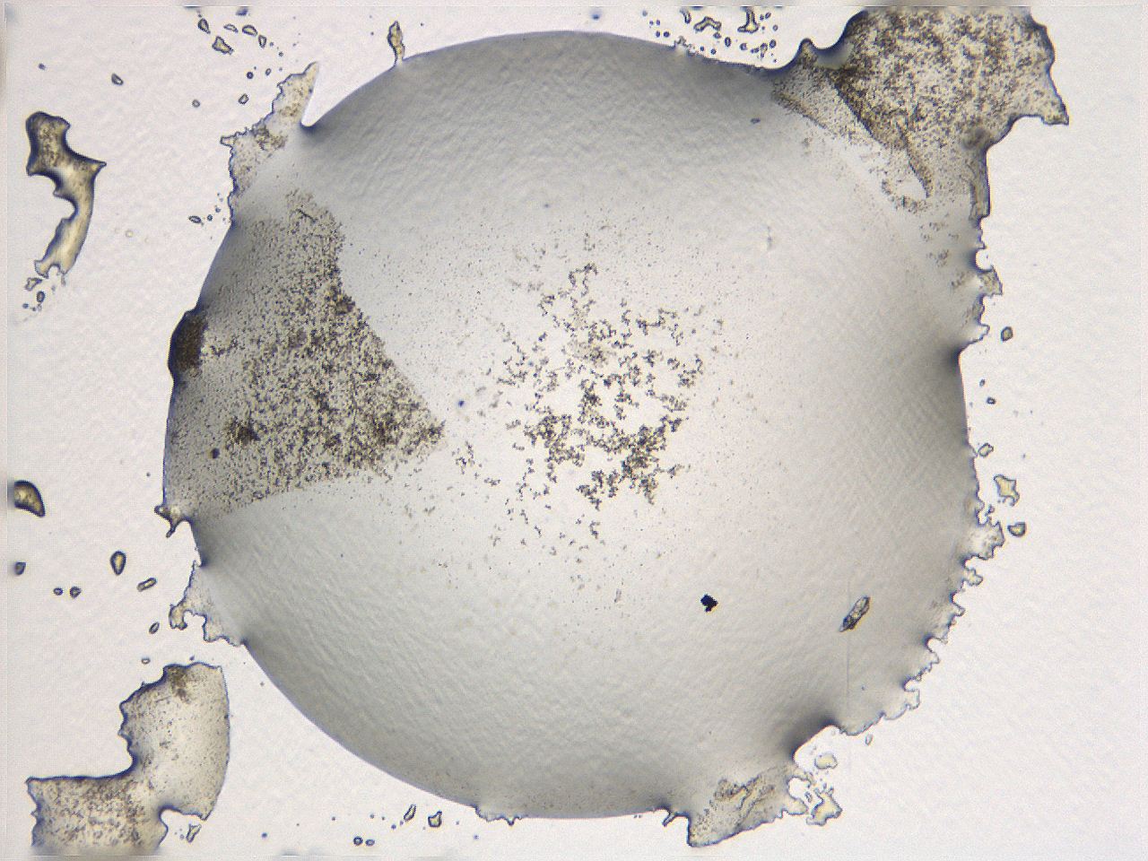 069a_F4_ImagerDefaults_3.jpg